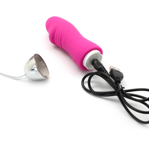 12 Speeds Pink Color Remote Control Rechargeable Silicone Penis Shape Vibrating Egg