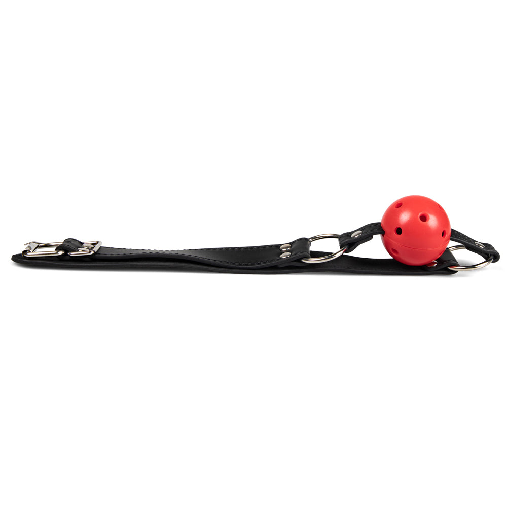 Red Ball Gags