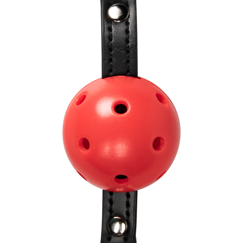 Red Ball Gags