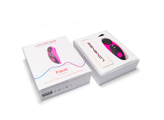 Lovense Ferri Panty Vibrator
