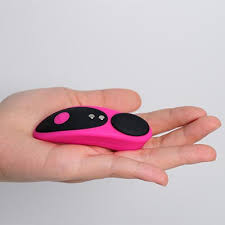 Lovense Ferri Panty Vibrator